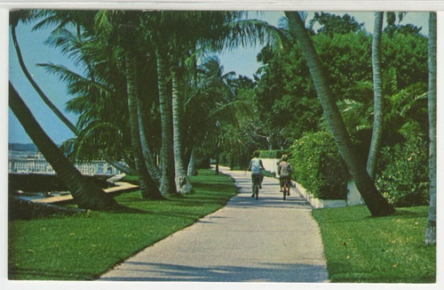 Postcard scene a bicycle - fl,