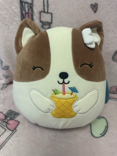 New squishmallows regina corgi - new,