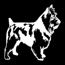 Australian Terrier Dog Det