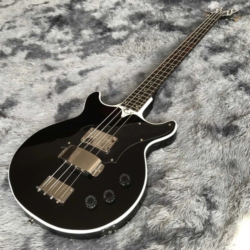 Customized string bass - bass, gene