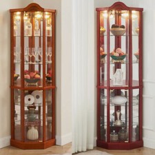 Lighted Curio Cabinet Corner