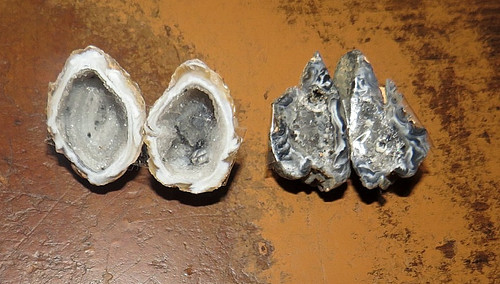 Pair brazilian crystal - ,