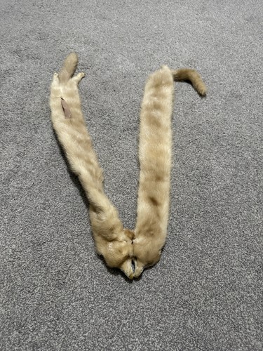 Vintage golden beige - golden,