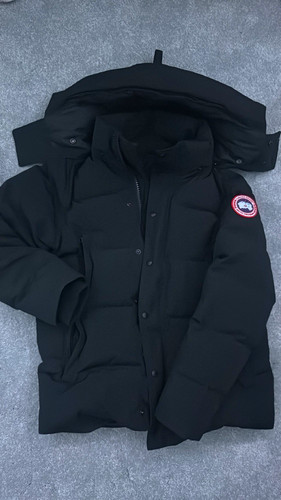 Canada goose arctic program - canada,
