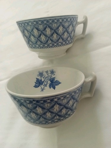 Blue spode geranium - 2,