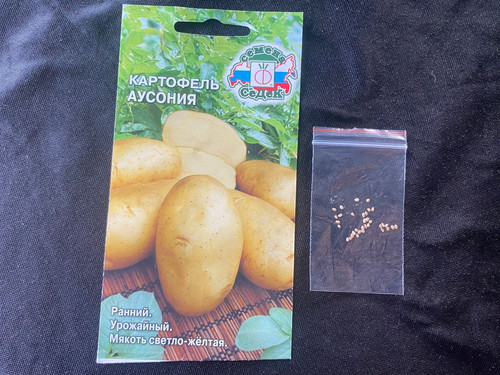 Potato russian - potato, seeds