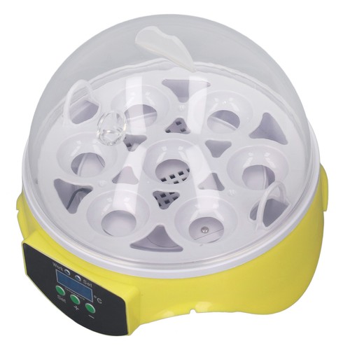 Eggs incubator easy - incubator,