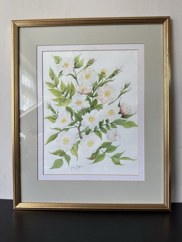 Framed original watercolour - framed,