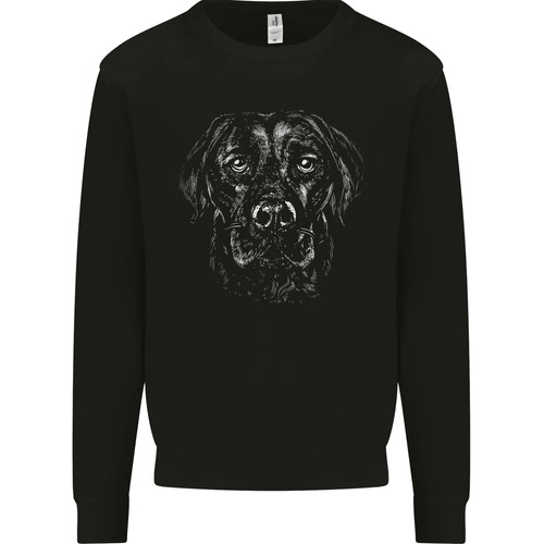 Labrador retriever - labrador,