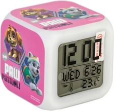 Paw Patrol Pink Cube Colour