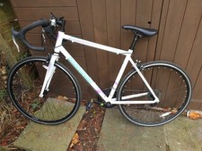 Barracuda Men’s Road Bike