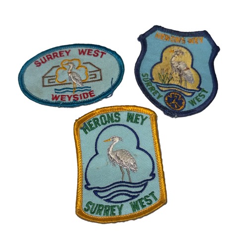 Girlguiding surrey west - girlguiding,