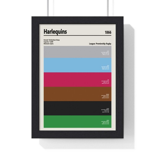 Harlequins inspired rugby - harlequins,
