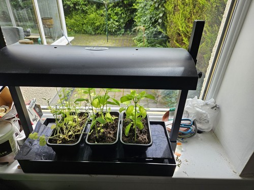 Garland micro grow - grow, light