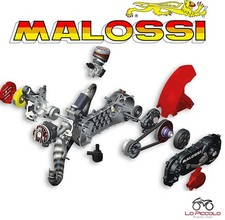 4917546 Complete Malossi