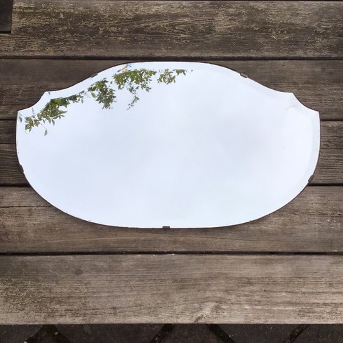 Old vintage oval shield shape - vintage,