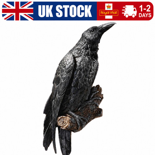 Gothic raven statue crow - raven,