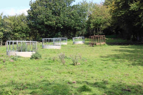 Photo cattle feeder troughs - photo,
