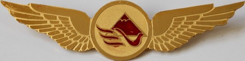 Taftan airlines pilot wings - taftan,