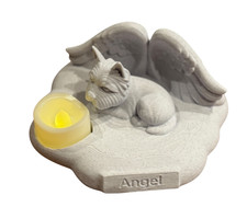 Angel Cairn/Westie on Cloud