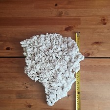 Live dry Marine Rock - Large