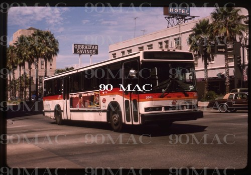 Scrtd neoplan bus 3644 - neoplan, long
