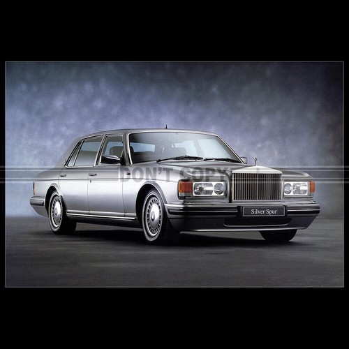 Photo 007533 rolls - photo, a.007533