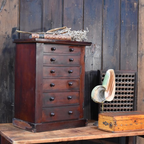 Antique mahogany specimen - antique,