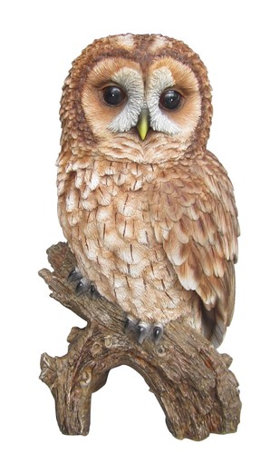 Tawny owl lifelike garden - owl,