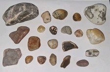 Various Beach Stones, Rocks, Minerals Lot 3 740g