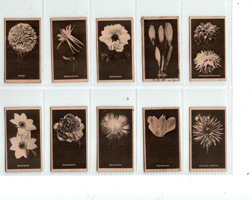 Famous flowers 1923 set - b.a.t:,