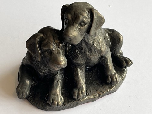 Manor labrador puppies - manor,