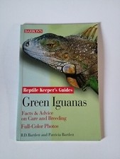 Green Iguanas: Facts & Advice