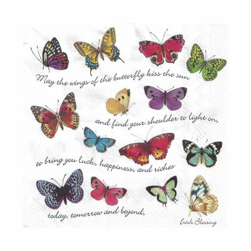 Irish blessing butterfly - irish,