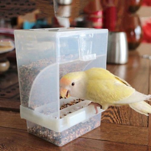 Proof bird poultry - proof,