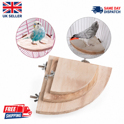 Pet bird parrot wood - bird, platform