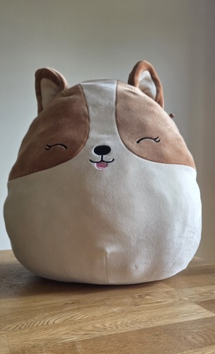 Regina the corgi squishmallow - regina,