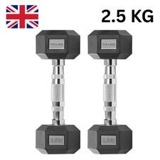 2.5 KG Hex Dumbbells Weights