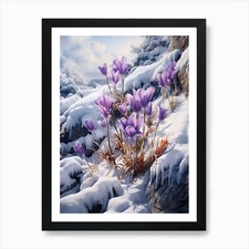 Beautiful Winter Flowers 51