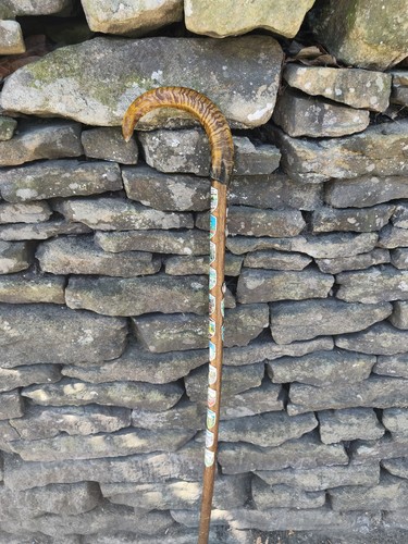Horn handle walking stick - horn,