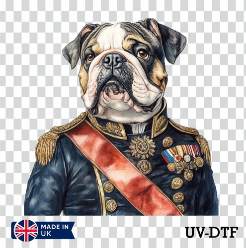 Victorian bulldog dtf - victorian,