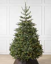 Balsam Hill Nordmann Fir Tree 7ft with LED Colour + Clear lights