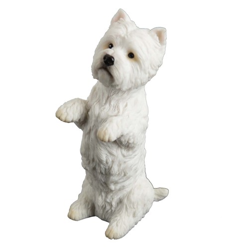 West highland white terrier - west,