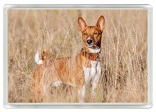 BASENJI BEAUTIFUL DOG PRINT