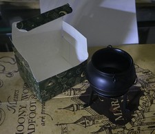 Harry Potter geek wizarding