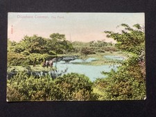 The Pond Chislehurst Common