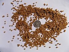 Cichlid Malawi Discus Catfish