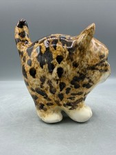 New winstanley cat size - cat, 1