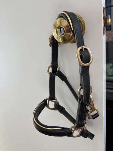 Miniature shetland headcollar - shetland,