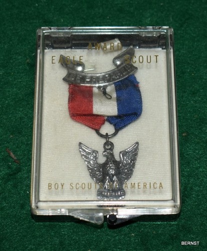 Boy scout eagle medal - boy,
